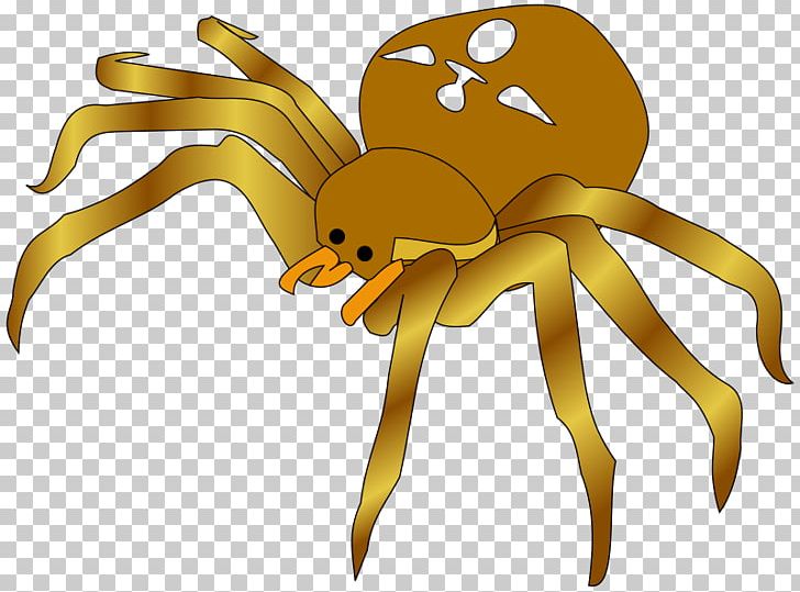 Spider PNG, Clipart, Arthropod, Bee, Brown Recluse Spider, Cartoon, Document Free PNG Download