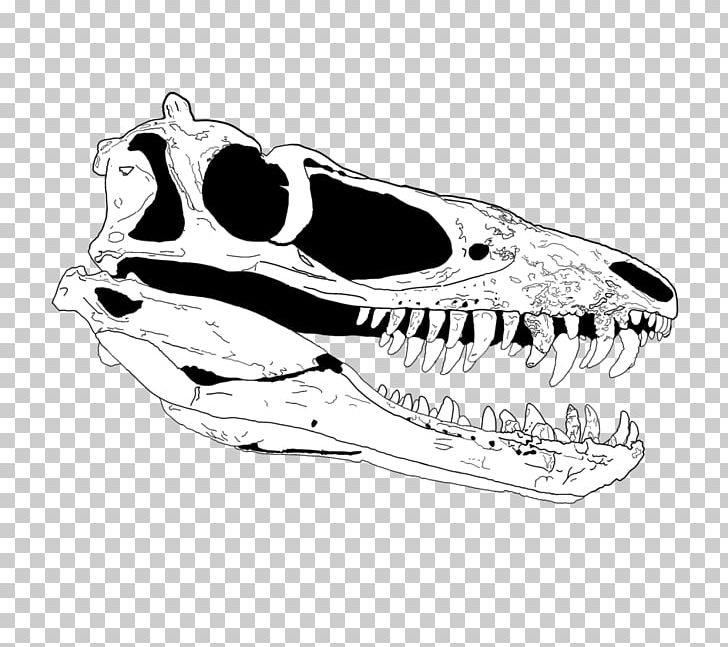 Tyrannosaurus Paleoart Skull Reptile PNG, Clipart, Art, Artist, Automotive Design, Black And White, Bone Free PNG Download