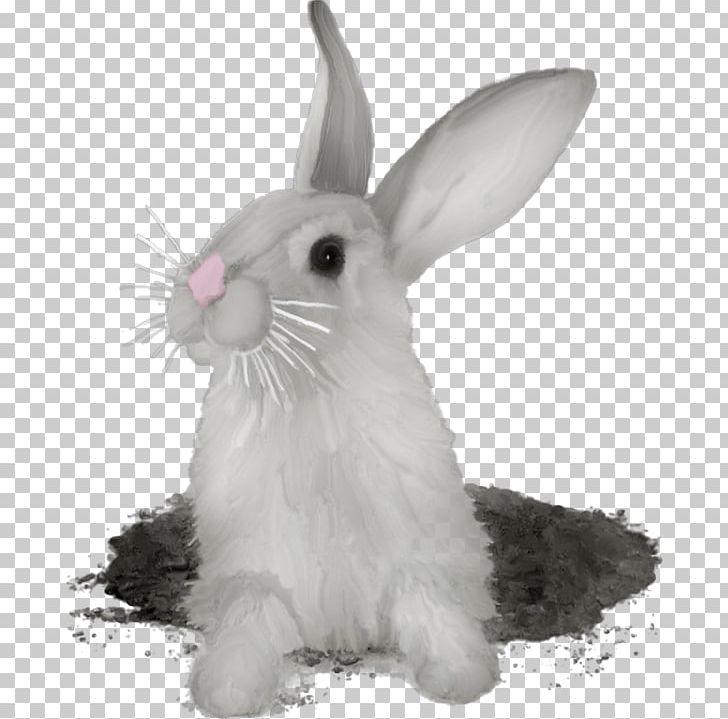 Hare Domestic Rabbit Rex Rabbit PNG, Clipart, Animal, Animals, Black And White, Burrow, Domestic Rabbit Free PNG Download