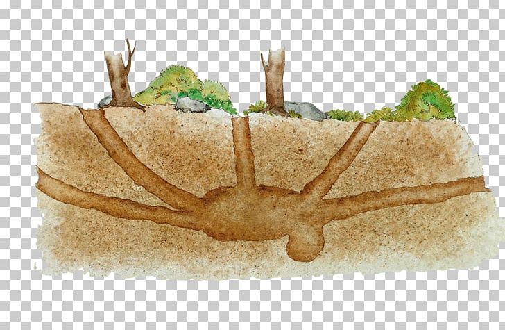 Red Fox Burrow Drawing Illustration PNG, Clipart, Art, Burrow, Cartoon, Drawing, Food Free PNG Download