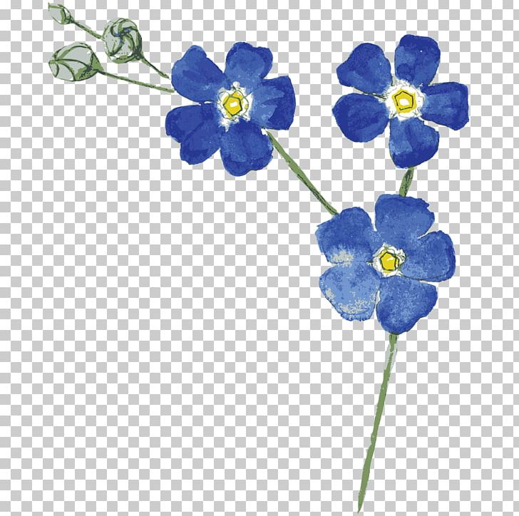Telephone Flower Softphone PNG, Clipart, Blue, Borage Family, Cut Flowers, Etsy, Flo Free PNG Download