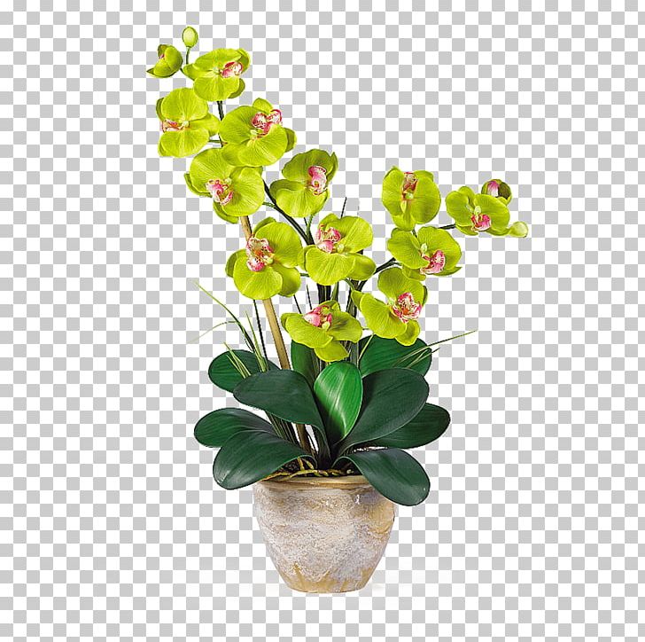 Moth Orchids Artificial Flower Plant Stem PNG, Clipart, Aerial Root, Artificial Flower, Branch, Bud, Color Free PNG Download