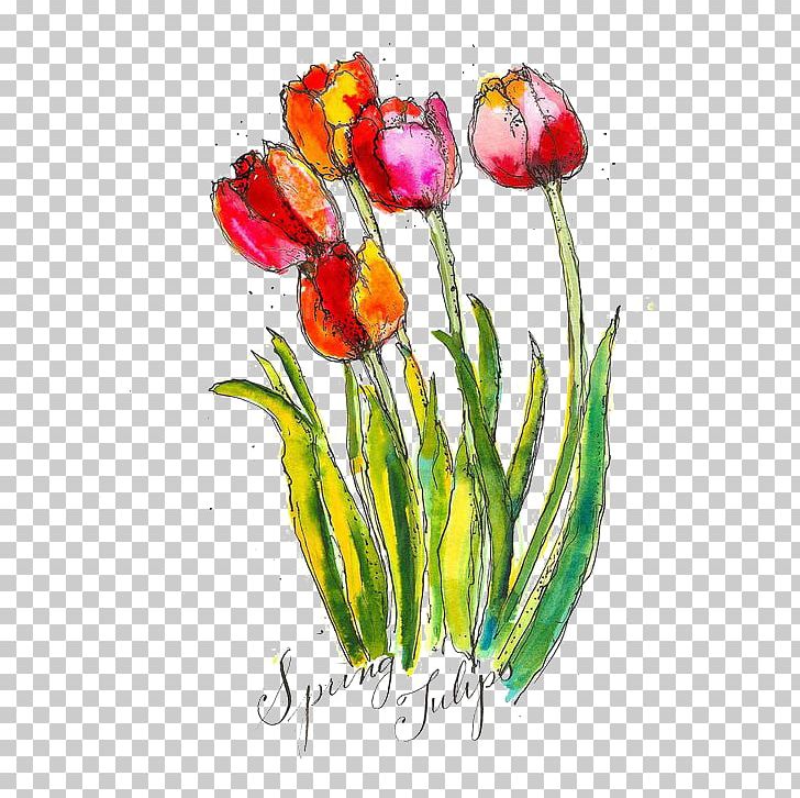 Tulip Watercolour Flowers Watercolor Painting PNG, Clipart, Canvas, Cartoon, Flower, Flower Arranging, Hand Free PNG Download