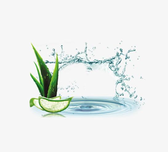 Aloe Vera Replenishment Material PNG, Clipart, Aloe, Aloe, Aloe Clipart, Aloe Vera, Aloe Vera Replenishment Free PNG Download