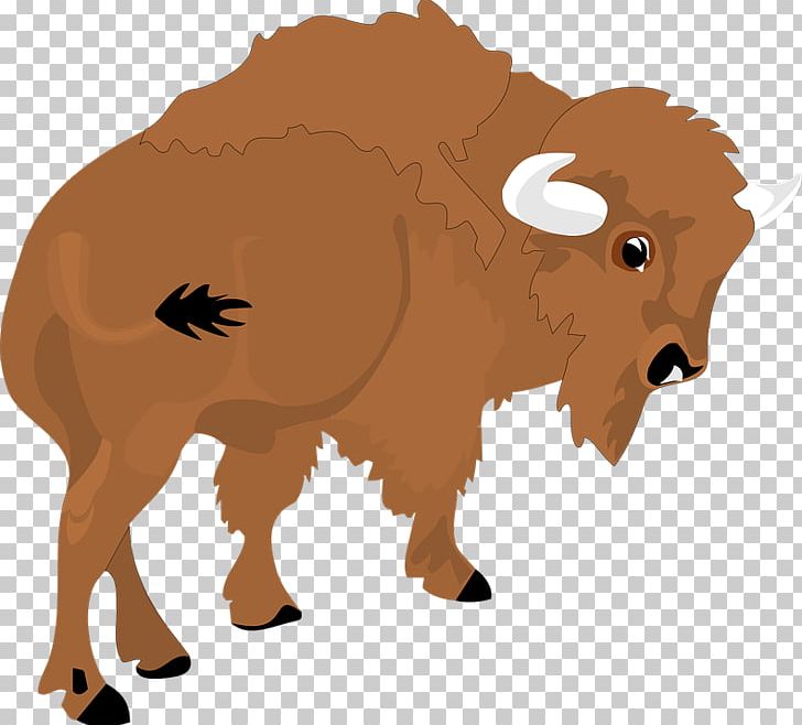 American Bison Animal Bison Hunting PNG, Clipart, American Bison, Animal, Bison, Bison Hunting, Buffalo Jump Free PNG Download