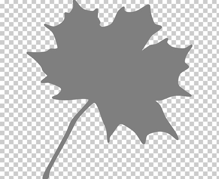 Canada Red Maple Maple Leaf PNG, Clipart, Autumn Leaf Color, Black, Black And White, Canada, Drawing Free PNG Download