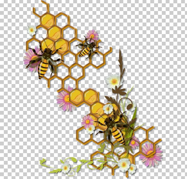 Honey Bee Honeycomb Bumblebee PNG, Clipart, Bee, Beehive, Branch, Cut Flowers, Drawing Free PNG Download