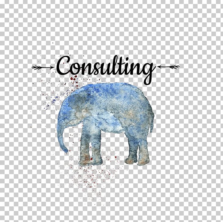 African Elephant Watercolor Painting Drawing PNG, Clipart, African Elephant, Animals, Asian Elephant, Bear, Drawing Free PNG Download