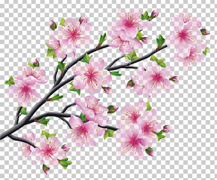 Cherry Blossom Drawing Tree PNG, Clipart, Azalea, Blossom, Branch, Cherry, Cherry Blossom Free PNG Download