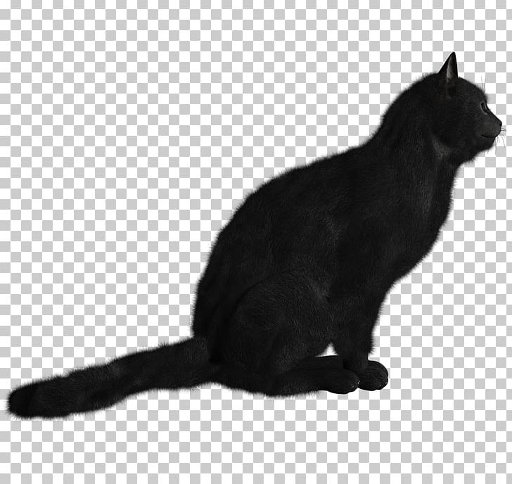 Kitten Persian Cat Desktop PNG, Clipart, Animal, Animals, Black, Bombay, Carnivoran Free PNG Download