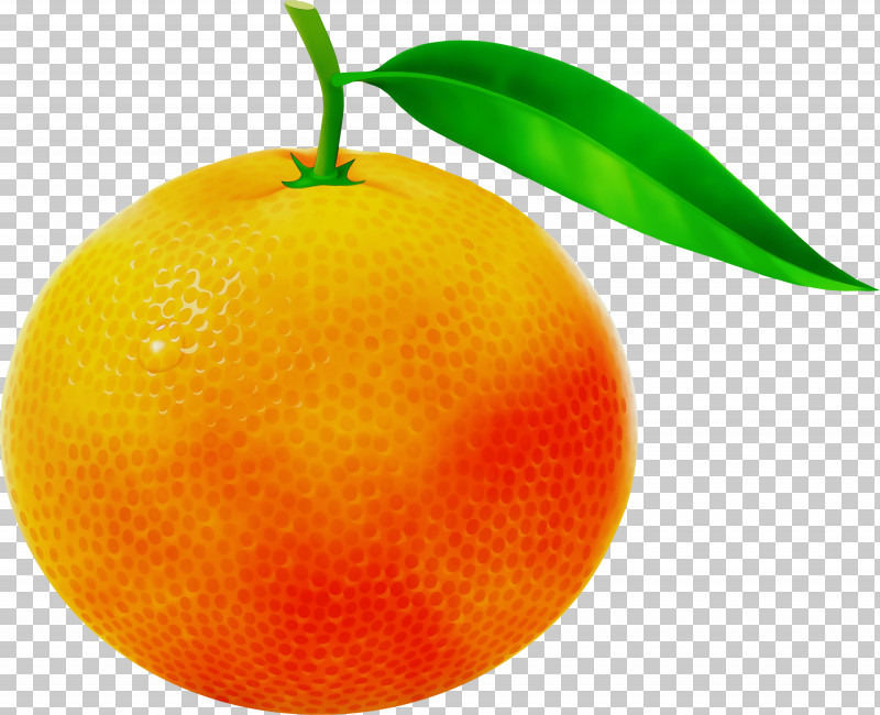 Orange PNG, Clipart, Citrus, Clementine, Fruit, Grapefruit, Juice Free PNG Download