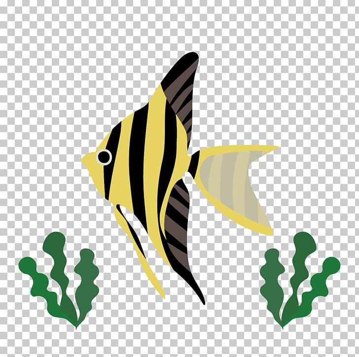 Angelfish Tropical Fish PNG, Clipart, Angelfish, Animals, Butterflies And Moths, Butterfly, Coloring Book Free PNG Download