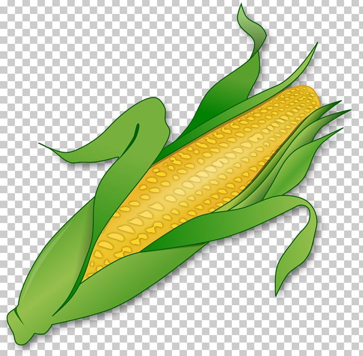 Corn On The Cob Corncob Maize PNG, Clipart, Commodity, Corn, Corn Clipart, Corncob, Corn On The Cob Free PNG Download