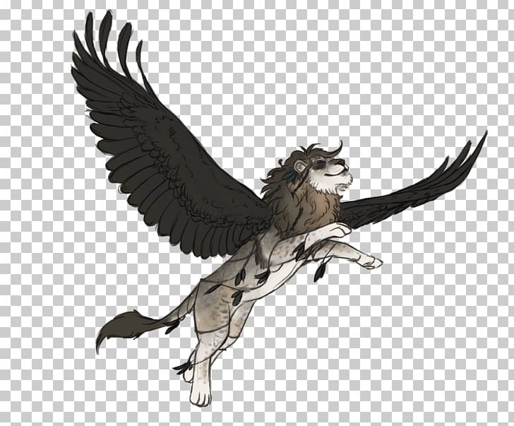 Eagle Owl Feather Beak Wildlife PNG, Clipart, Animals, Beak, Bird, Bird Of Prey, Eagle Free PNG Download