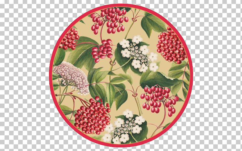 Plate Dishware Plant Berry Flower PNG, Clipart, Berry, Dishware, Elderberry, Flower, Fruit Free PNG Download