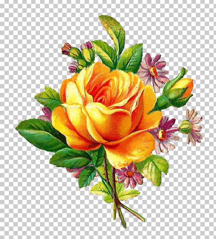 Flower Rose Yellow Antique PNG, Clipart, Antique, Clip Art, Cut Flowers, Download, Floral Design Free PNG Download