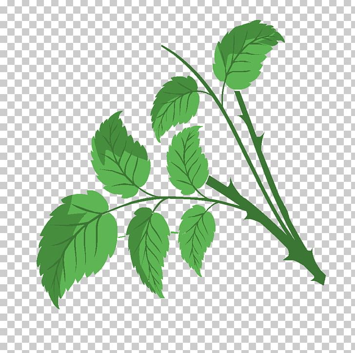 Herbalism Drawing History Technology PNG, Clipart, Branch, Drawing, Educational Game, English, Game Free PNG Download