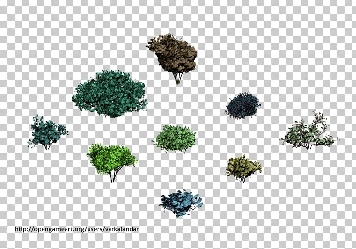 Tree Shrub PNG, Clipart, Flora, Grass, Nature, Organism, Plant Free PNG Download