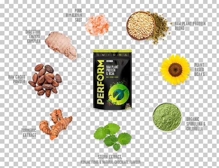 Dietary Supplement Branched-chain Amino Acid Protein PNG, Clipart, Acai Palm, Acid, Amino Acid, Branchedchain Amino Acid, Brand Free PNG Download