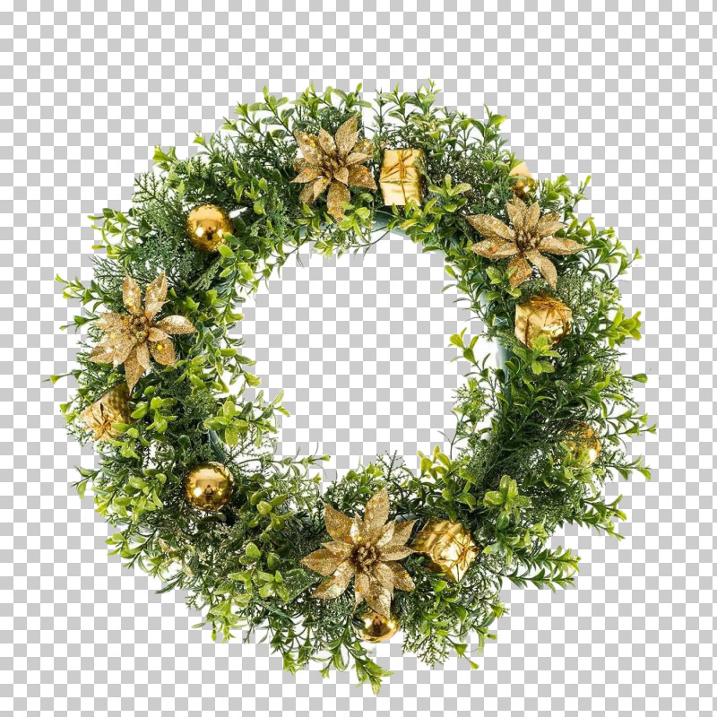 Christmas Decoration PNG, Clipart, Branch, Christmas Decoration, Conifer, Fir, Flower Free PNG Download