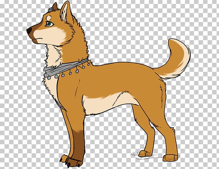Dog Breed Finnish Spitz Shikoku Puppy Red Fox PNG, Clipart, Animals, Breed, Carnivoran, Dog, Dog Breed Free PNG Download