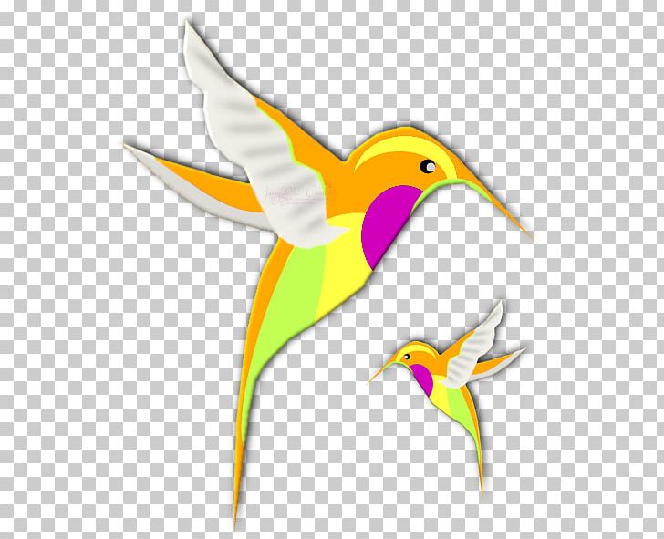 Hummingbird Beak PNG, Clipart, Animals, Art, Beak, Bird, Deviantart Free PNG Download