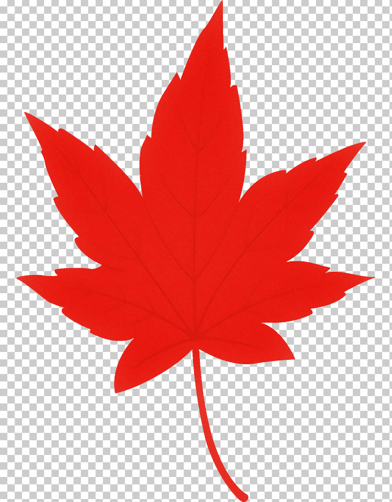 Maple Leaf Autumn Leaf Yellow Leaf PNG, Clipart, Autumn Leaf, Black Maple, Flower, Leaf, Maple Free PNG Download