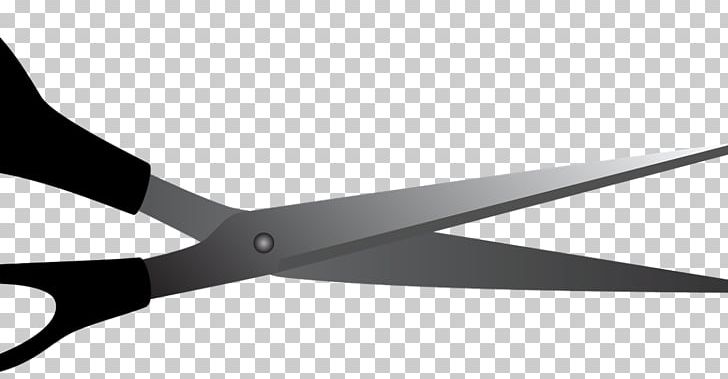 Accounting Scissors Business Manufacturing Actividad PNG, Clipart, Accounting, Actividad, Angle, Blog, Business Free PNG Download