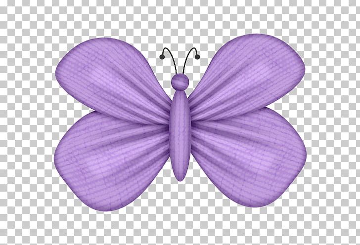Drawing Butterfly Photography PNG, Clipart, Animaatio, Blue, Butterflies And Moths, Butterfly, Color Free PNG Download