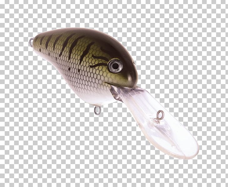 Spoon Lure Fishing Baits & Lures Plug Water Perch PNG, Clipart, Baby, Bait, Bass, Color, Dive Free PNG Download