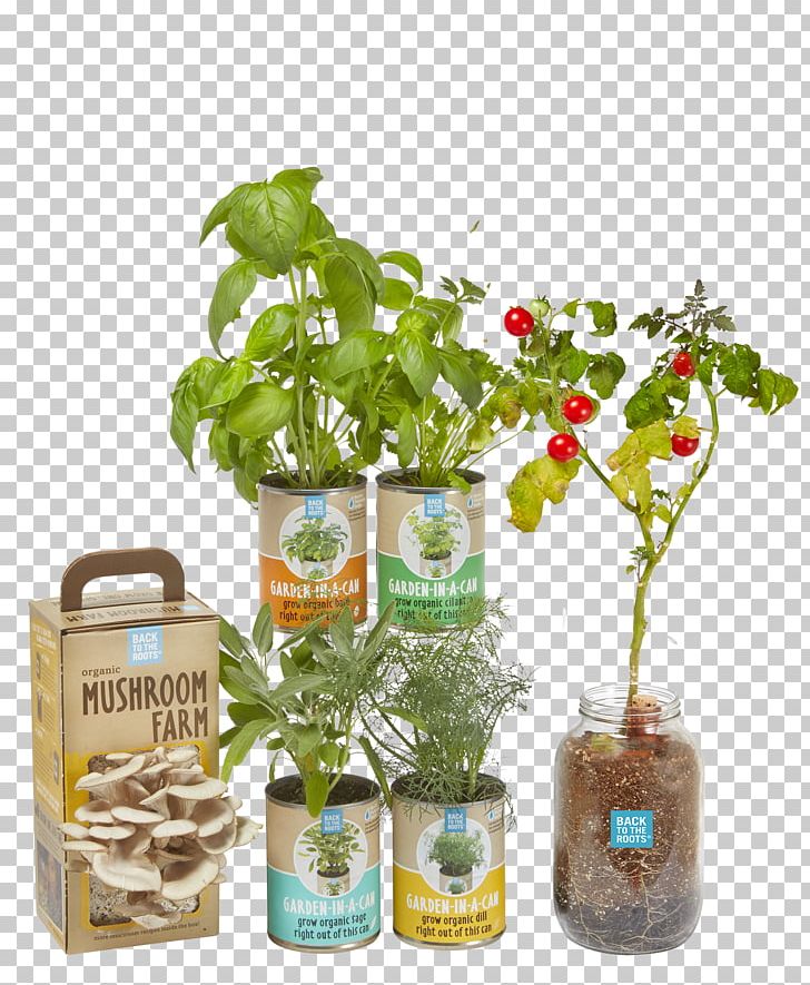 Herbalism Flowerpot Bottle PNG, Clipart, Bottle, Flowerpot, Herb, Herbalism, Others Free PNG Download