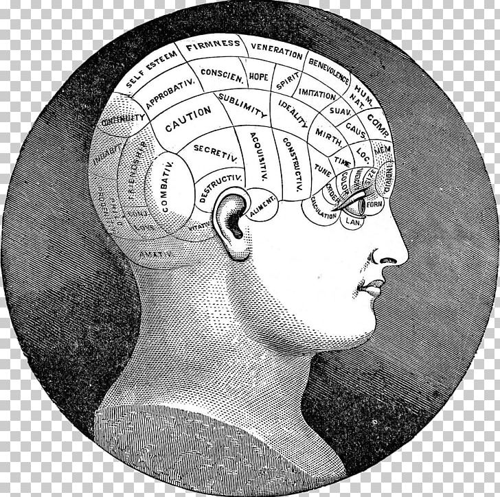 Phrenology Neuropsychology Elements Of Character Myers–Briggs Type Indicator PNG, Clipart, Black And White, Brain, Circle, Depth Psychology, Drawing Free PNG Download