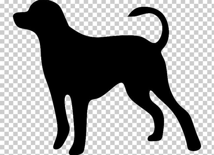 Dog Cat Pet Animal Loss PNG, Clipart, Animal, Animals, Black, Carnivoran, Cat Like Mammal Free PNG Download