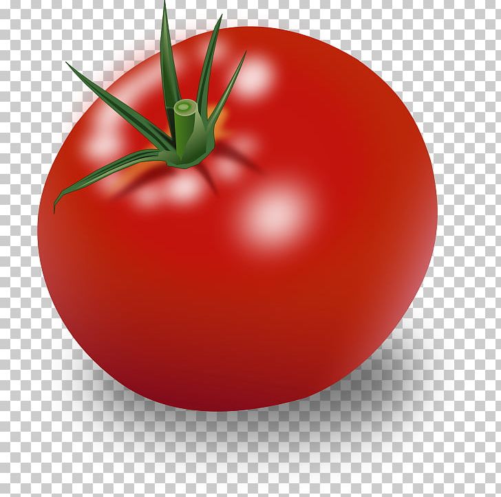 Hamburger Cherry Tomato Ripening Vegetable PNG, Clipart, Apple, Bush Tomato, Cherry Tomato, Diet Food, Food Free PNG Download
