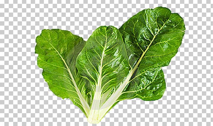 Swiss Cuisine Mediterranean Cuisine Chard Leaf Vegetable PNG, Clipart, Cabbage, Choy Sum, Collard Greens, Cooking, Cruciferous Vegetables Free PNG Download
