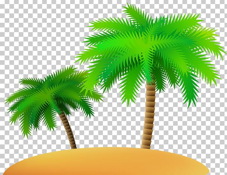 Palm Islands Arecaceae PNG, Clipart, Arecaceae, Arecales, Beach, Borassus Flabellifer, Coconut Free PNG Download