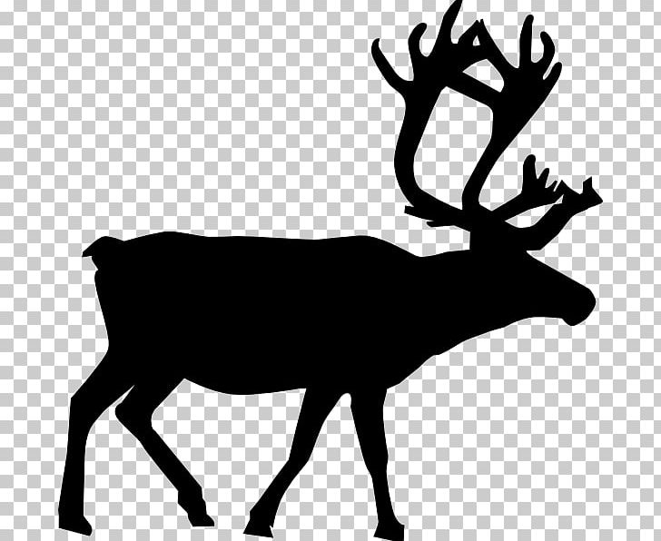 Rudolph Reindeer Santa Claus PNG, Clipart, Antler, Black And White, Cartoon, Christmas, Deer Free PNG Download