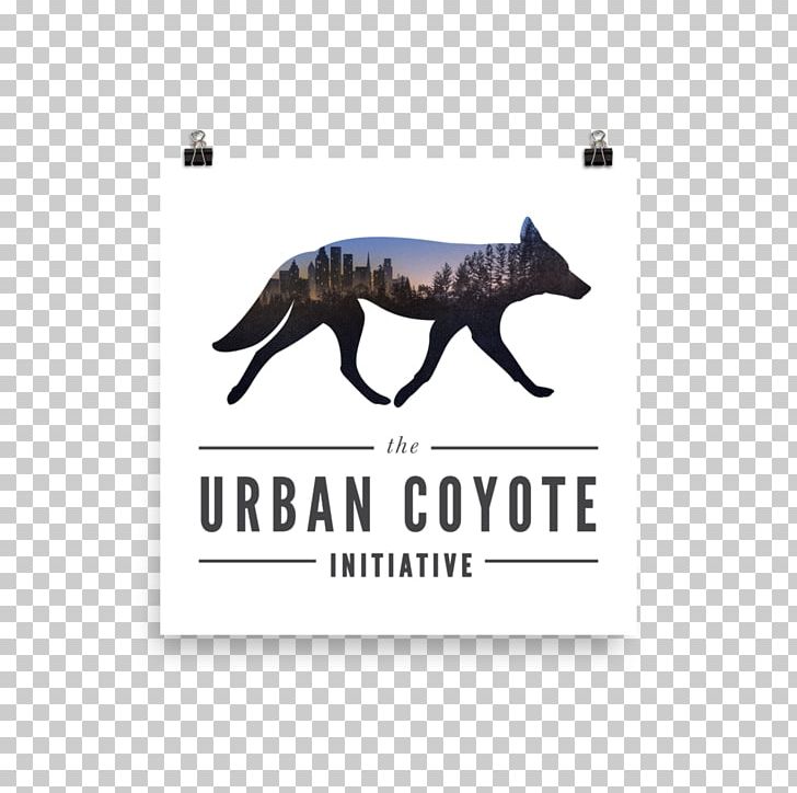 Sky Coyote Canidae Dog Urban Coyote PNG, Clipart, Animal, Animals, Brand, Canidae, Carnivoran Free PNG Download