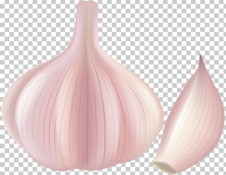 Garlic Shallot PNG, Clipart, Cartoon, Clip Art, Computer Icons, Condiment, Food Free PNG Download