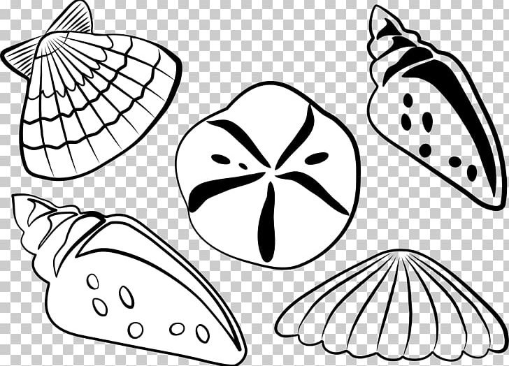 Seashell Black And White PNG, Clipart, Angle, Animals, Art, Artwork, Black And White Free PNG Download