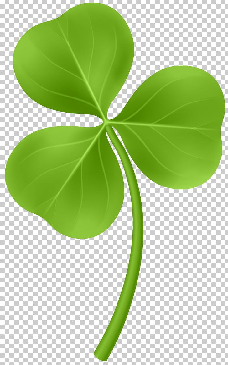 Shamrock Saint Patrick's Day PNG, Clipart, Clover, Cut Copy And Paste, Desktop Wallpaper, Fourleaf Clover, Green Free PNG Download