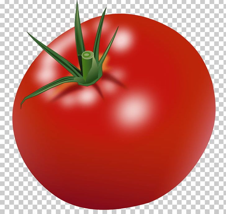 Tomato Juice Tomato Soup Cherry Tomato Plum Tomato Vegetable PNG, Clipart, Bush Tomato, Capsicum, Cherry Tomato, Diet Food, Easily Free PNG Download