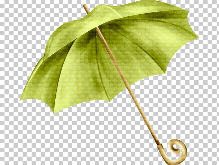 Umbrella Green Scalable Graphics Rain PNG, Clipart, Anime Style Dialog Box, Art, Auringonvarjo, Chinese Style, Green Umbrella Free PNG Download