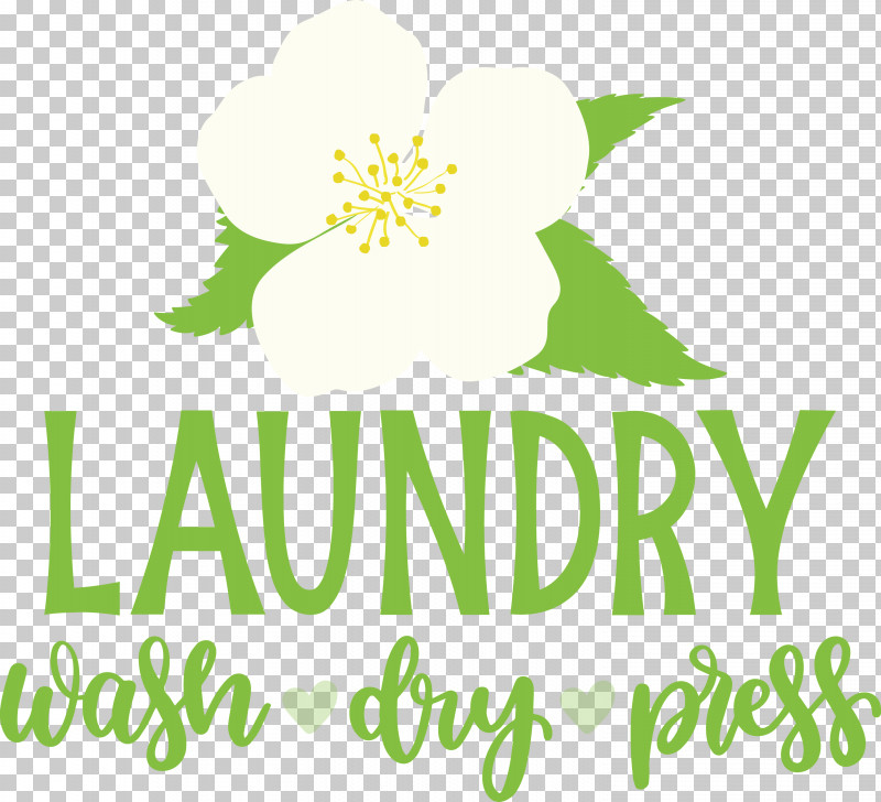 Laundry Wash Dry PNG, Clipart, Dry, Floral Design, Flower, Green, Laundry Free PNG Download