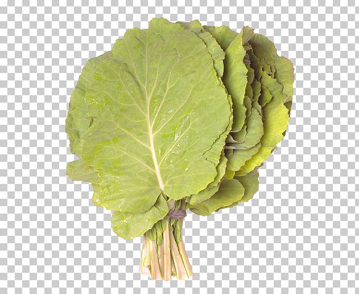 Atlantic Canary Disease Eating Food Nutrition PNG, Clipart, Atlantic Canary, Cabbage, Cardiovascular Disease, Collard Greens, Diabetes Mellitus Free PNG Download