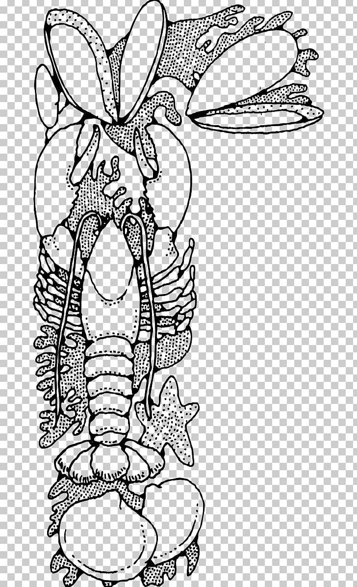 Clam Lobster Fish Finger Seafood PNG, Clipart, Art, Artwork, Black And White, Clam, Draw Free PNG Download