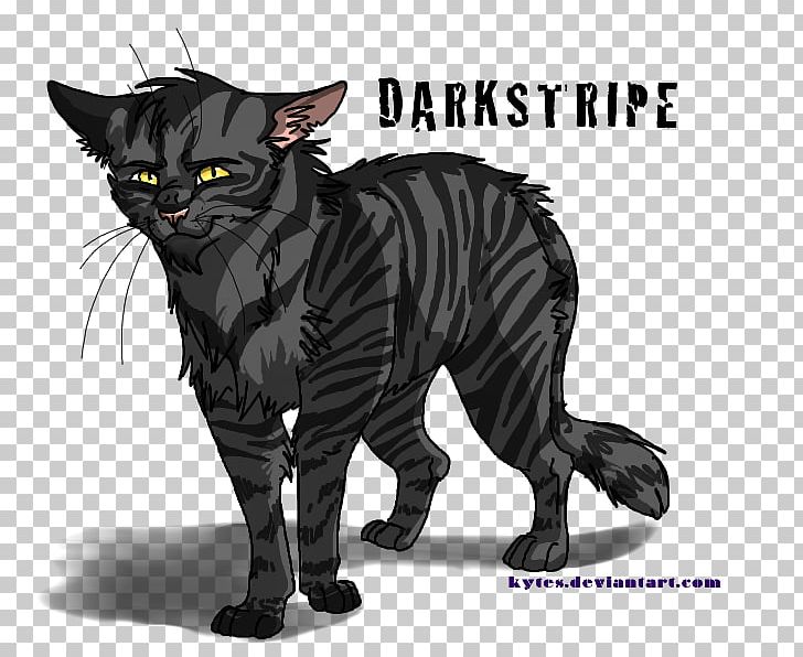 Into The Wild Darkstripe Warriors ThunderClan Rising Storm PNG, Clipart, Author, Black Cat, Book, Carnivoran, Cat Free PNG Download