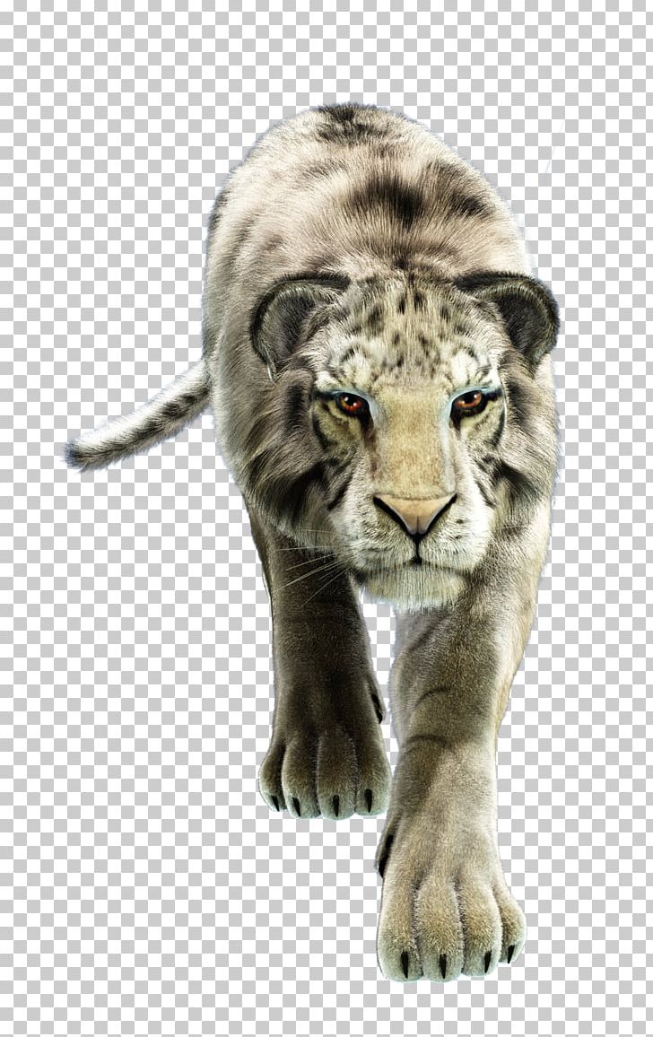 White Tiger Whiskers Horse Wildlife PNG, Clipart, 23 January, 24 January, Animal, Animals, Big Cats Free PNG Download