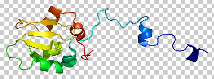 XIAP Inhibitor Of Apoptosis X Chromosome Protein PNG, Clipart, 1 C, 1433 Protein, Apoptosis, Area, Art Free PNG Download