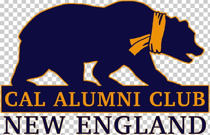 California Golden Bears Women's Basketball Cal Alumni Association University Of Massachusetts Lowell California Golden Bears Men's Basketball PNG, Clipart,  Free PNG Download